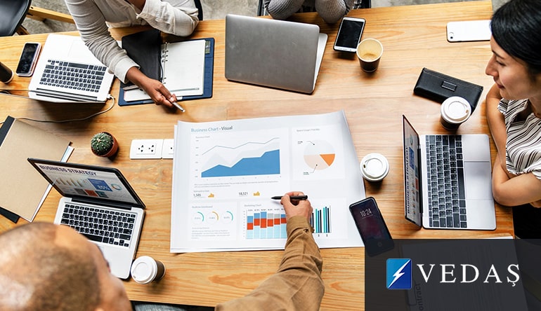 VEDAŞ Yatırım Yönetimi